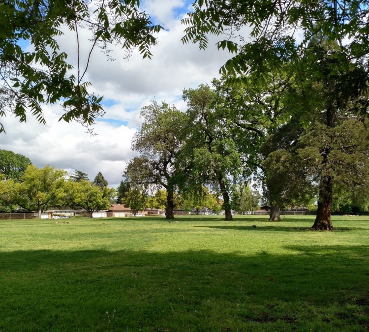 birney-school-park-photo